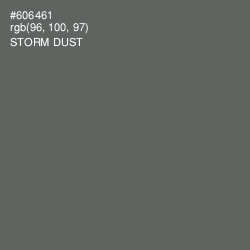 #606461 - Storm Dust Color Image